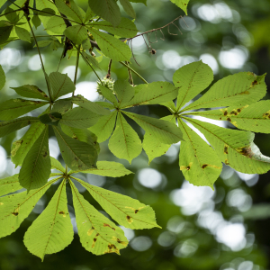 Zdjęcia wykonane obiektywami marki Tamron przez członków ekipy InterFoto.eu Zdjęcia wykonane obiektywami marki Tamron przez członków ekipy InterFoto.eu