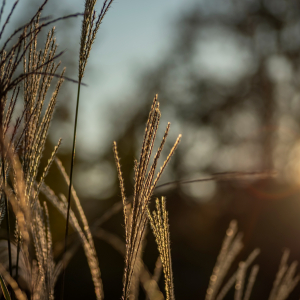 Zdjęcia wykonane obiektywami marki Tamron przez członków ekipy InterFoto.eu Zdjęcia wykonane obiektywami marki Tamron przez członków ekipy InterFoto.eu