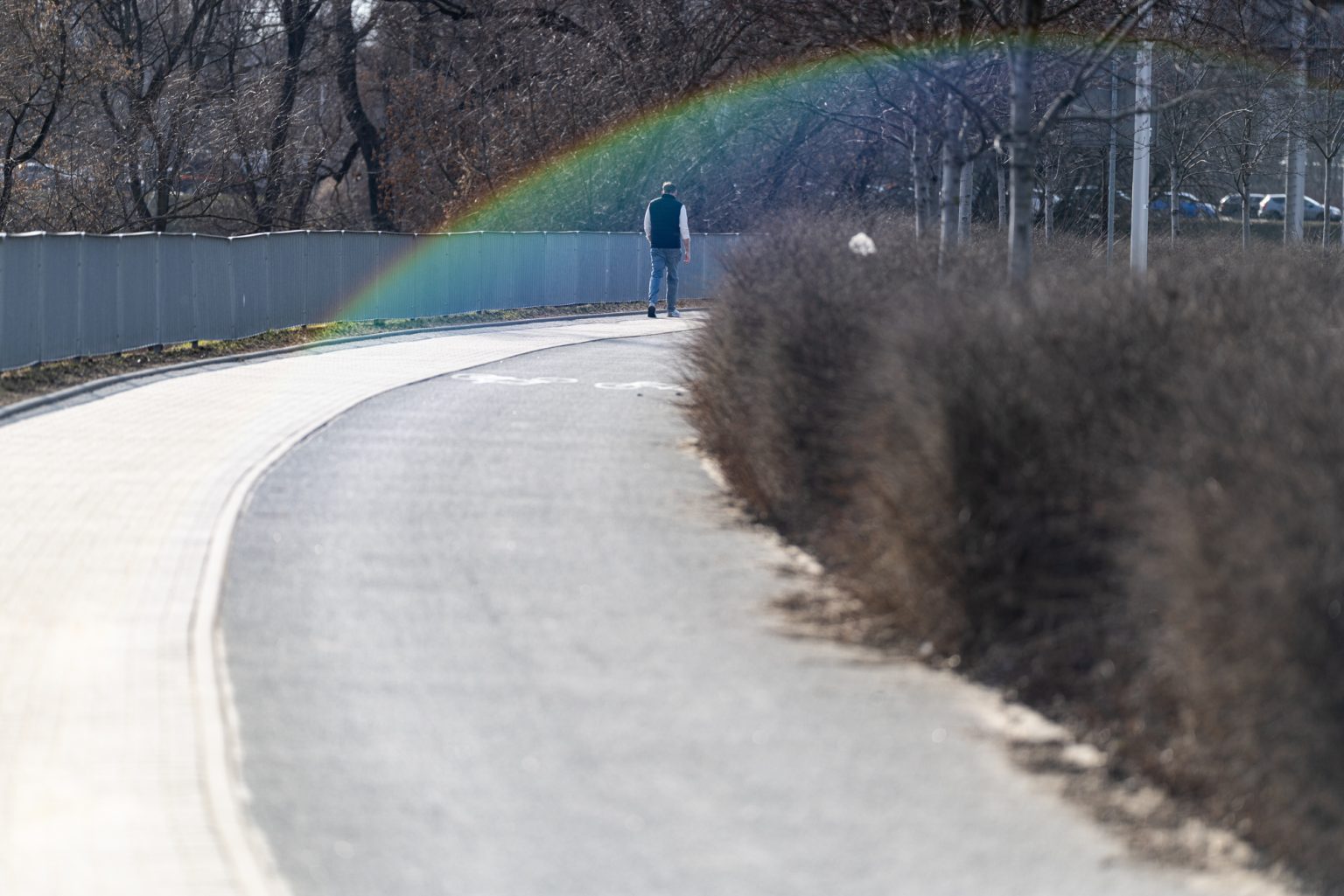 Galeria zdjęć przykładowych 2000px wykonana obiektywem Canon RF 135mm F1.8 L IS USM i aparatem Canon R5 II Galeria zdjęć przykładowych 2000px wykonana obiektywem Canon RF 135mm F1.8 L IS USM i aparatem Canon R5 II