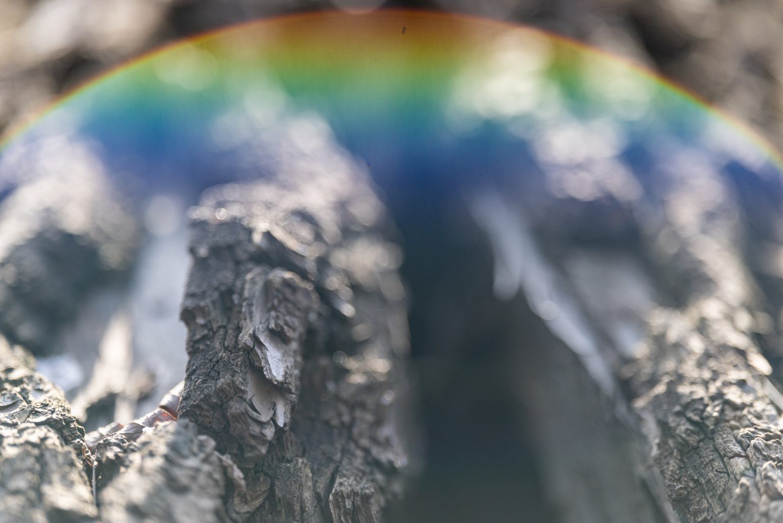 Galeria zdjęć przykładowych 2000px wykonana obiektywem Canon RF 135mm F1.8 L IS USM i aparatem Canon R5 II Galeria zdjęć przykładowych 2000px wykonana obiektywem Canon RF 135mm F1.8 L IS USM i aparatem Canon R5 II