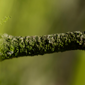 Zdjęcia wykonane obiektywami marki Tamron przez członków ekipy InterFoto.eu Zdjęcia wykonane obiektywami marki Tamron przez członków ekipy InterFoto.eu
