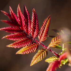 Zdjęcia wykonane obiektywami marki Tamron przez członków ekipy InterFoto.eu Zdjęcia wykonane obiektywami marki Tamron przez członków ekipy InterFoto.eu