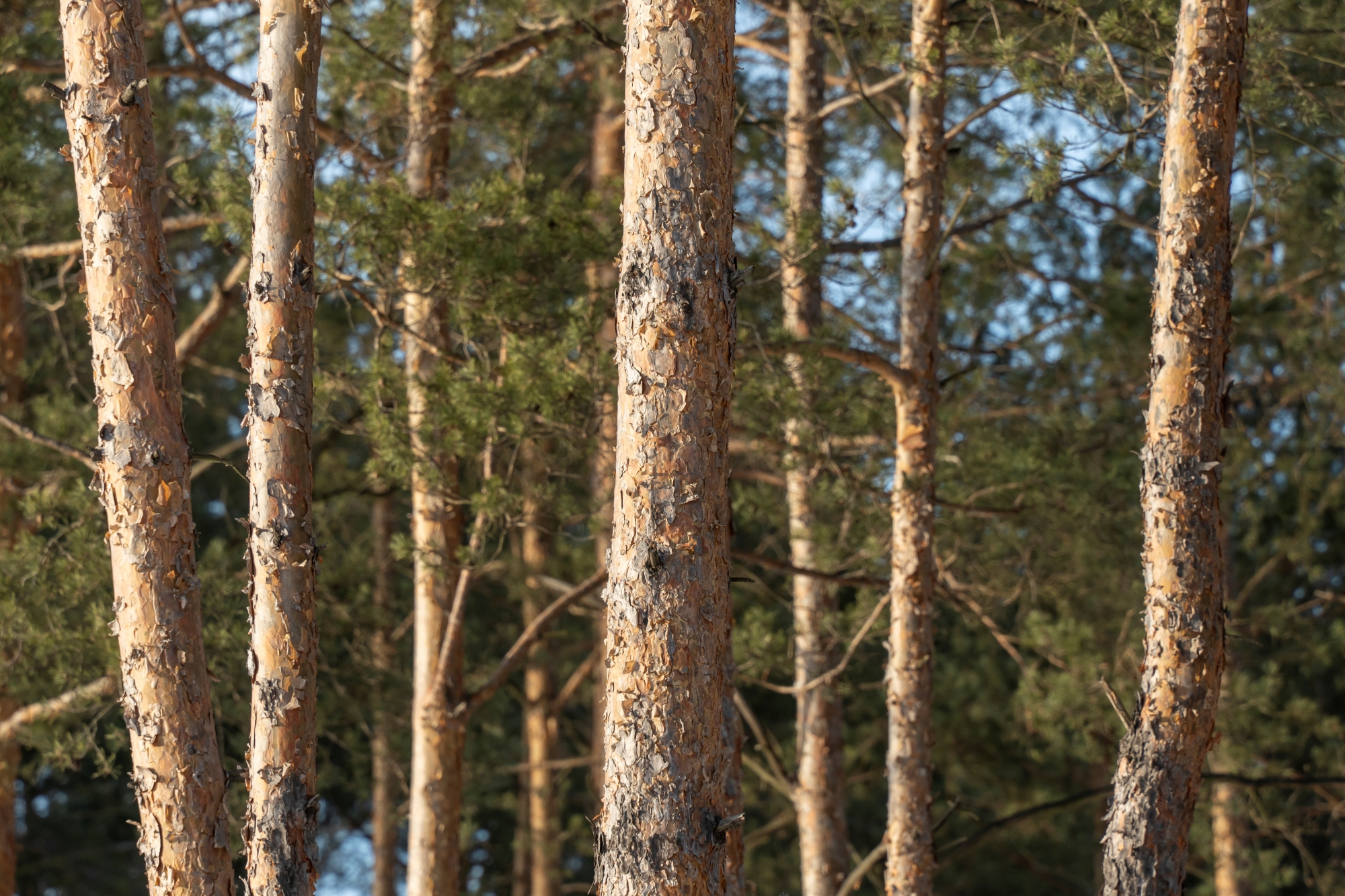 sony-a7c-ii-tamron-28-200-test-zestaw-podrozny