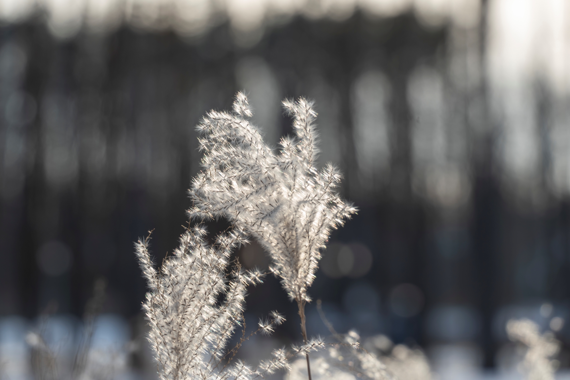 sony-a7c-ii-tamron-28-200-test-zestaw-podrozny