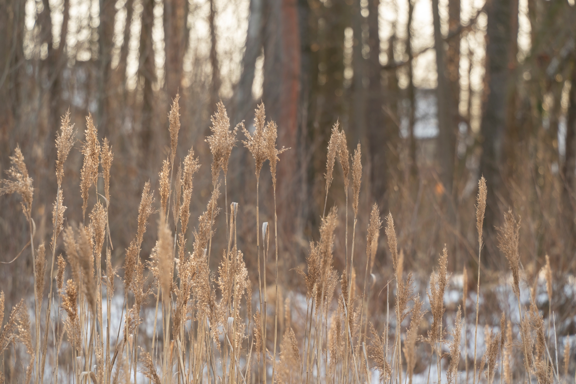 sony-a7c-ii-tamron-28-200-test-zestaw-podrozny