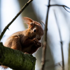 Zdjęcia wykonane obiektywami marki Tamron przez członków ekipy InterFoto.eu Zdjęcia wykonane obiektywami marki Tamron przez członków ekipy InterFoto.eu
