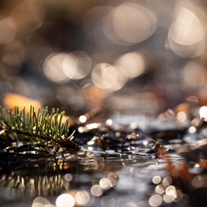 Zdjęcia wykonane obiektywami marki Tamron przez członków ekipy InterFoto.eu Zdjęcia wykonane obiektywami marki Tamron przez członków ekipy InterFoto.eu