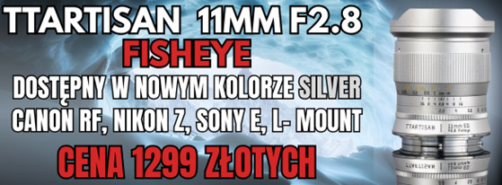 Ttartisan11 559 silver