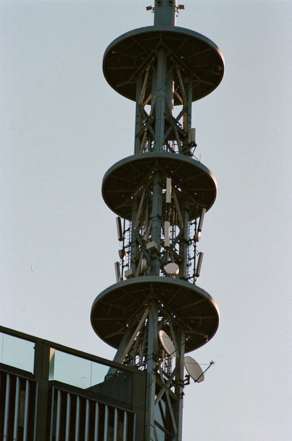 Galeria zdjęć przykładowych 2000px wykonana za pomocą obiektywu TTArtisan 500mm F6.3 ED i aparatu Nikon F-801 Galeria zdjęć przykładowych 2000px wykonana za pomocą obiektywu TTArtisan 500mm F6.3 ED i aparatu Nikon F-801