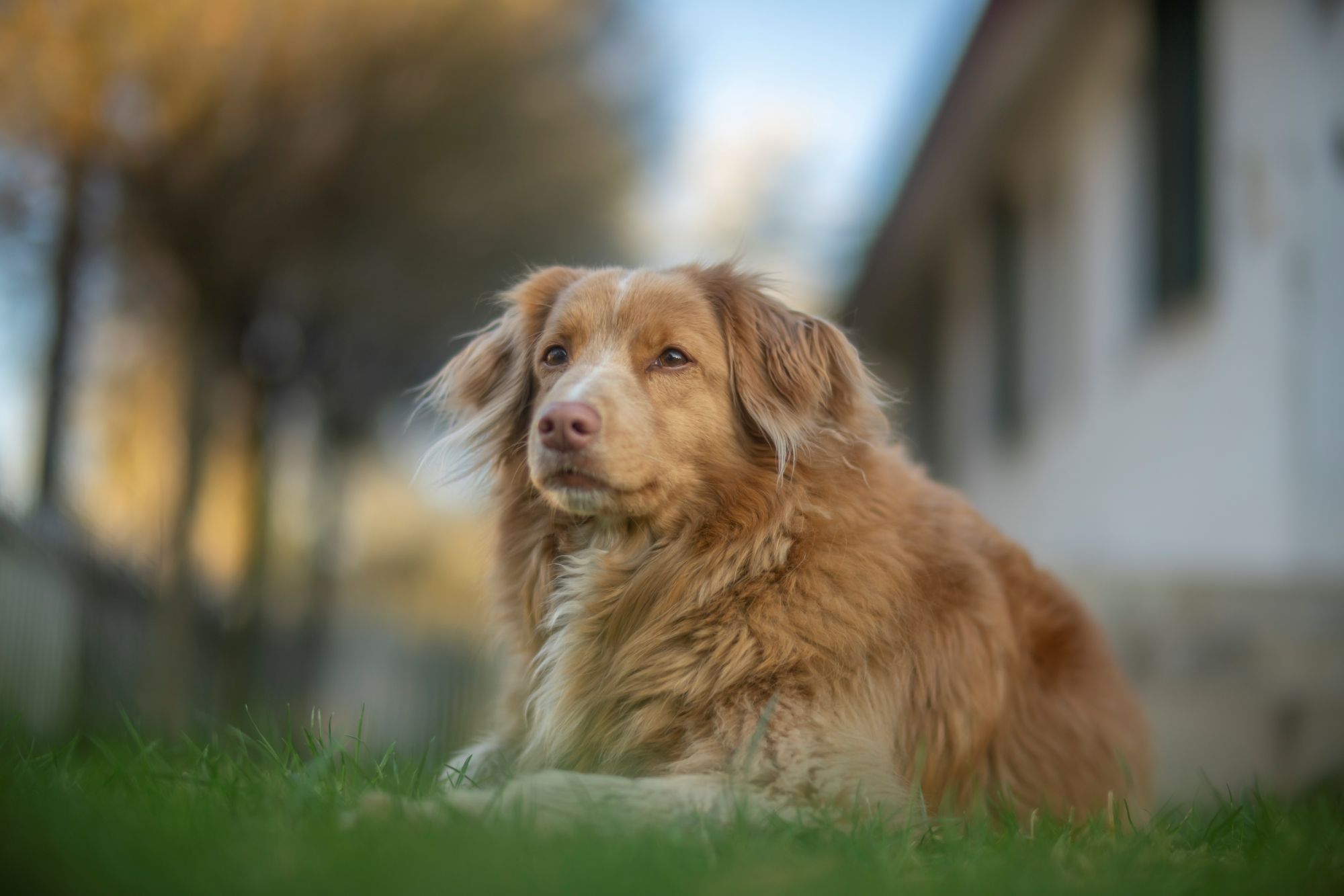 wiosna-sony-a7riv-ttartisan-50mm-f095