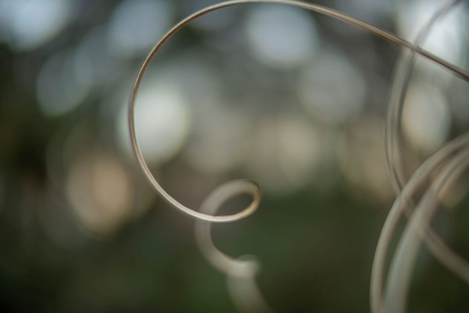 batch_TTArtisan 50mm F0.95__dsc0126