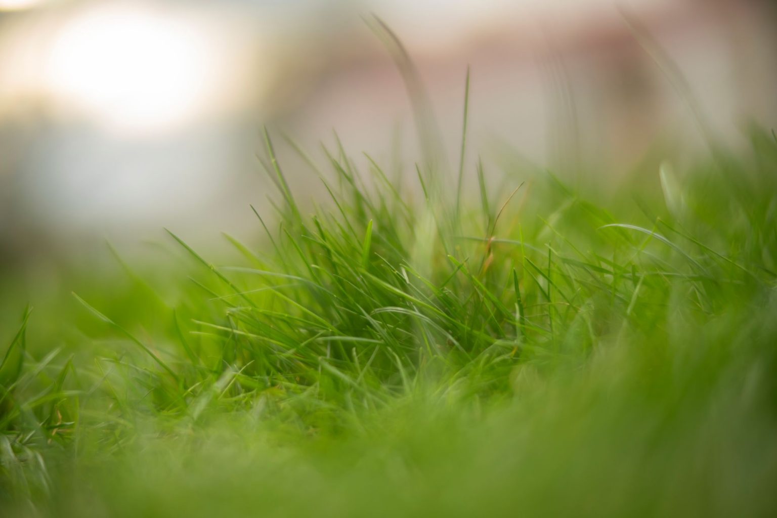 batch_TTArtisan 50mm F0.95__dsc0293