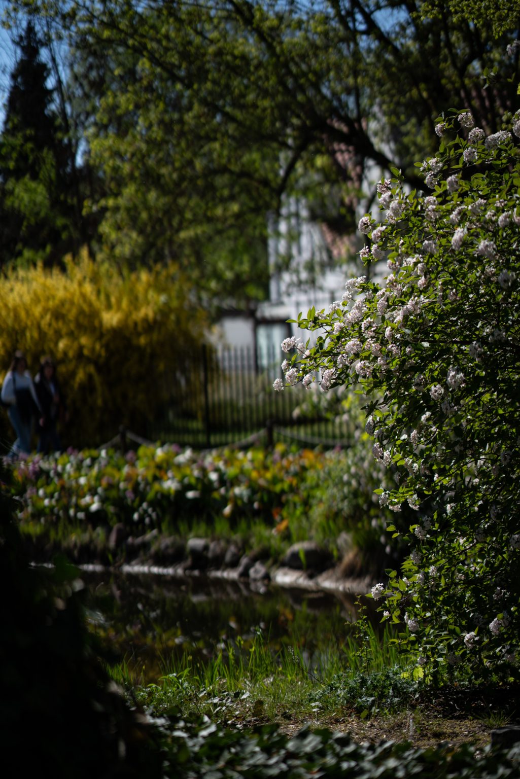 Galeria zdjęć przykładowych 2000px z obiektywu Sony FE 85mm F1.4 GM i aparatu Sony A7RIII