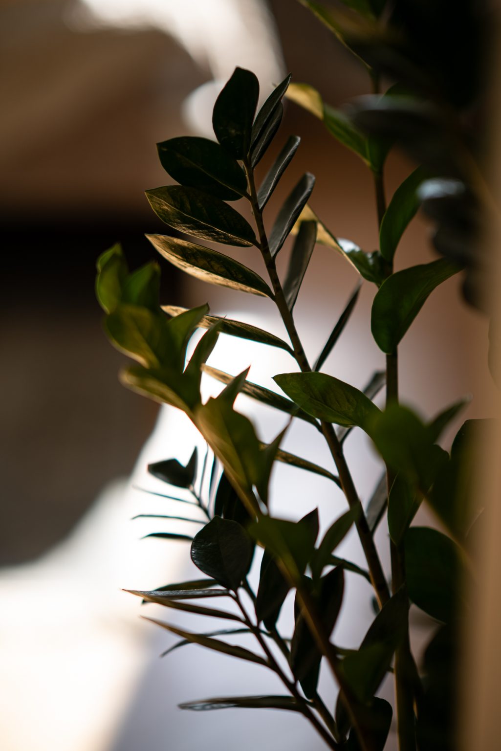 Galeria zdjęć przykładowych 2000px z obiektywu Sony FE 85mm F1.4 GM i aparatu Sony A7RIII