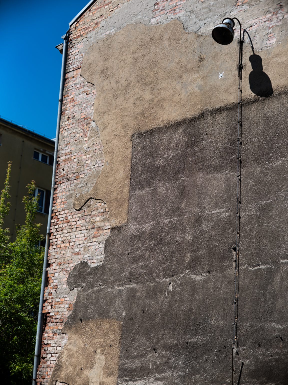 Galeria zdjęć przykładowych 2000px wykonana za pomocą obiektywu Canon 85mm F1.2 L II USM  i aparatu FujiFilm GFX 50S II