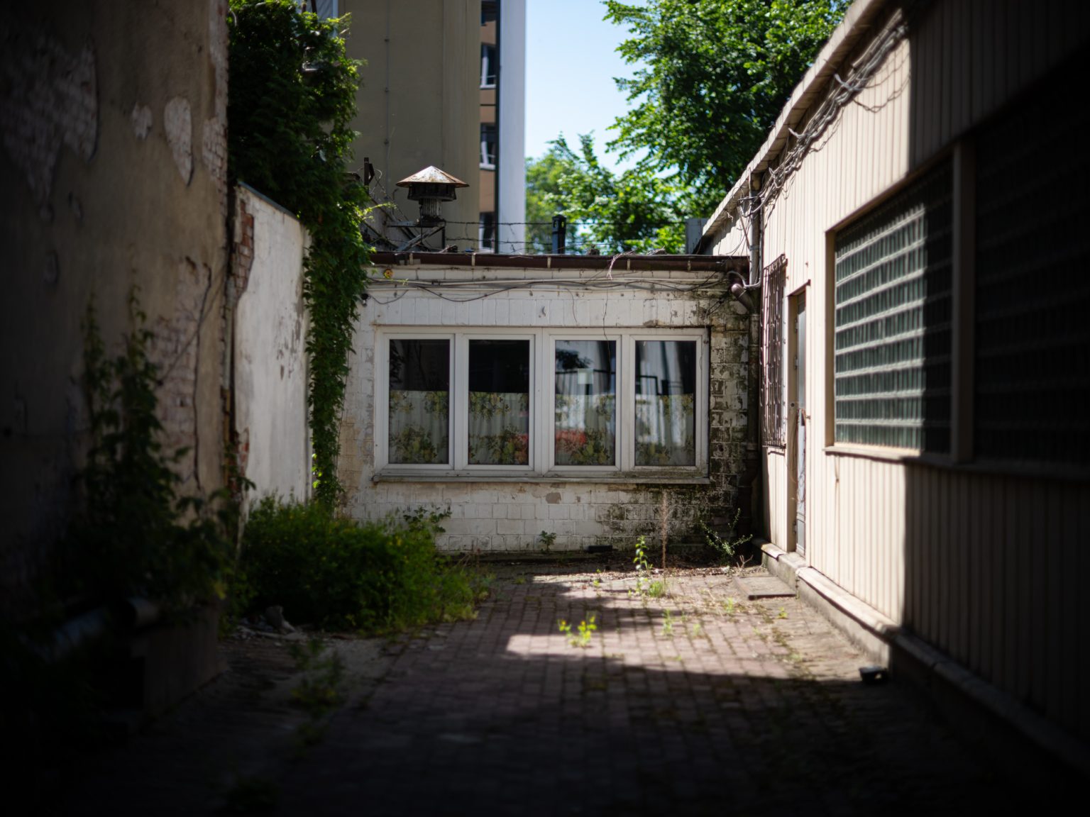 Galeria zdjęć przykładowych 2000px wykonana za pomocą obiektywu Canon 85mm F1.2 L II USM  i aparatu FujiFilm GFX 50S II