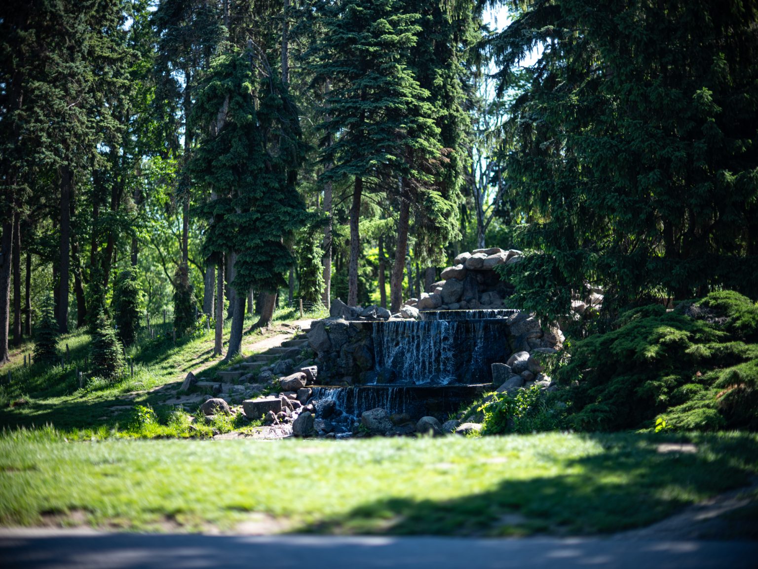 Galeria zdjęć przykładowych 2000px wykonana za pomocą obiektywu Canon 85mm F1.2 L II USM  i aparatu FujiFilm GFX 50S II