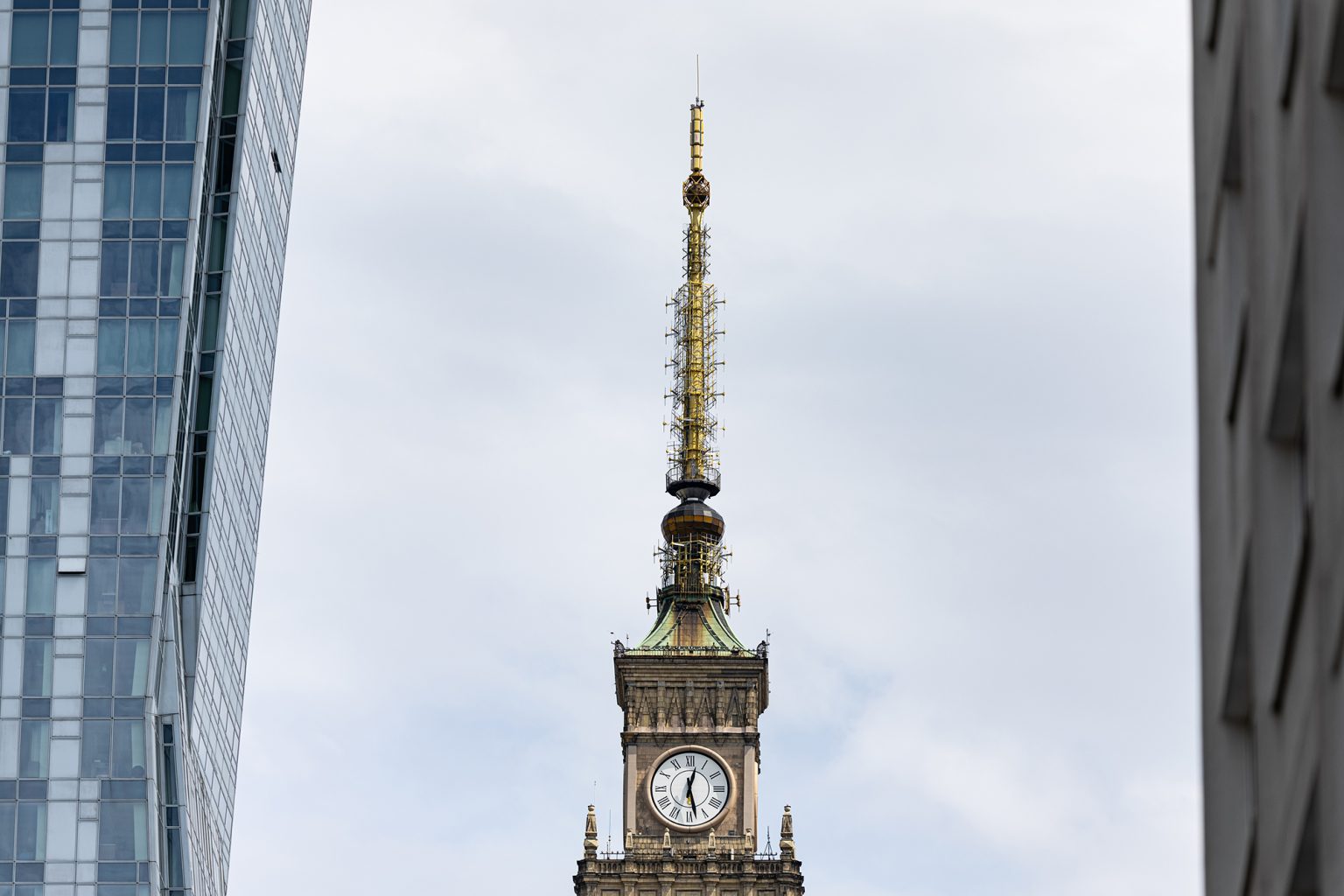 Galeria zdjęć przykładowych 2000px wykonana za pomocą obiektywu Canon 200mm F2 L IS USM i aparatu Canon R3