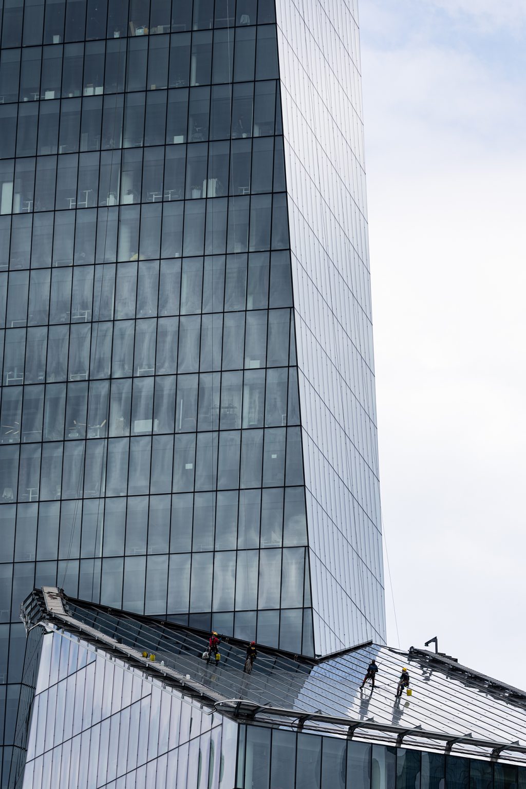 Galeria zdjęć przykładowych 2000px wykonana za pomocą obiektywu Canon 200mm F2 L IS USM i aparatu Canon R3