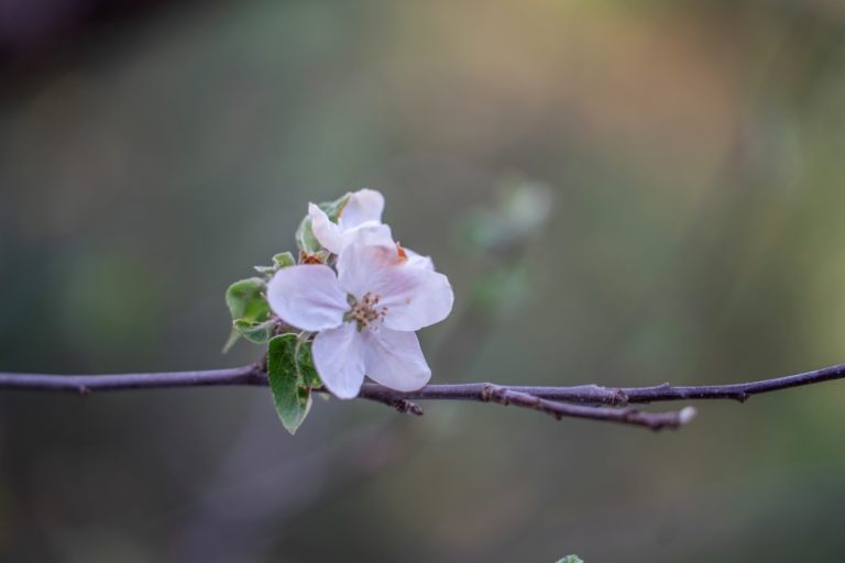 sony-a9-ii-tamron-35-150mm-f2-2-8-test-opinie
