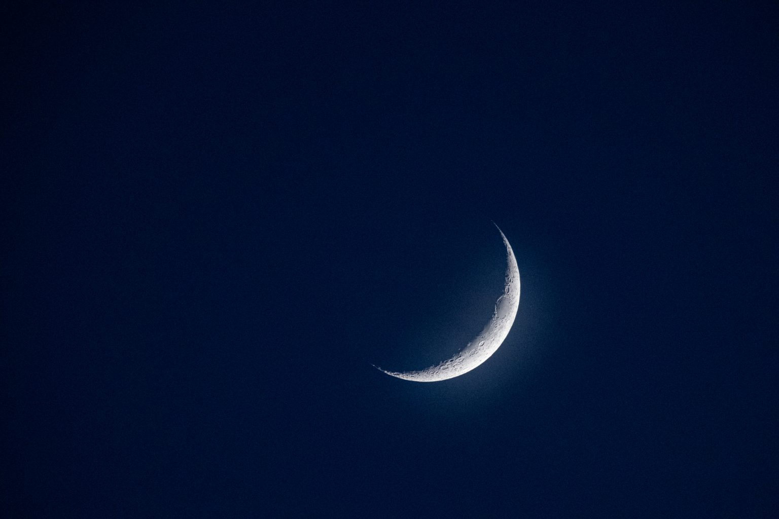 Galeria zdjęć przykładowych 2000px wykonana za pomocą aparatu FujiFilm X-T5 i obiektywu FujiFilm XF 150-600mm F5.6-8 R LM OIS WR Fujinon